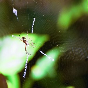 /Albums/18/Pr03921052246