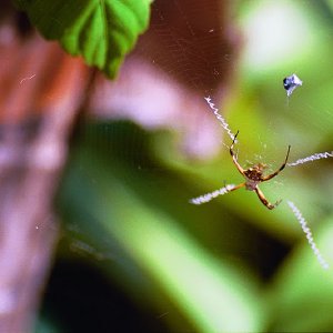 /Albums/18/Pr03921052247