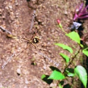 /Albums/18/Pr03921052250