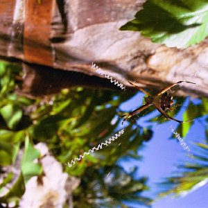 /Albums/18/Pr03921052252