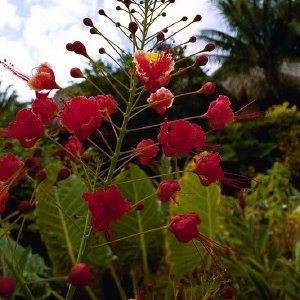 /Albums/18/Pr03921052254