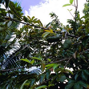 /Albums/18/Pr03921052259