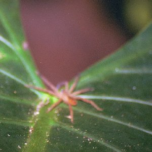 /Albums/18/Pr03921052261