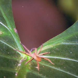 /Albums/18/Pr03921052262