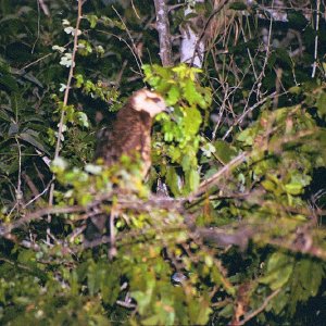 /Albums/18/Pr03921052269