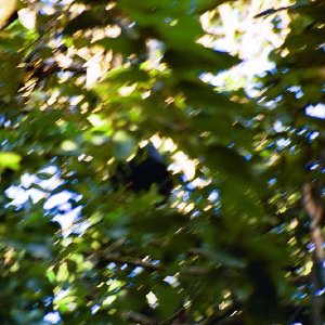 /Albums/18/Pr03921052272