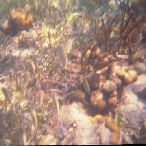 /Albums/19/Pr000010638100