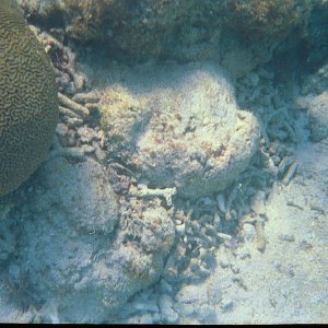 /Albums/19/Pr00001063857