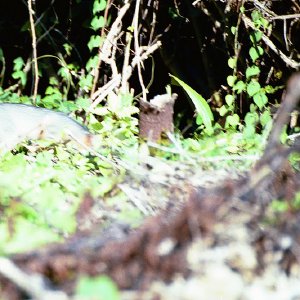 /Albums/19/Pr00001063865