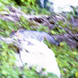 /Albums/19/Pr00001063866