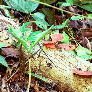 /Albums/19/Pr00001063868