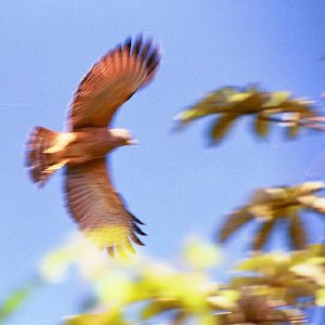 /Albums/19/Pr00001063870