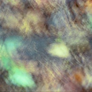 /Albums/19/Pr00001063871