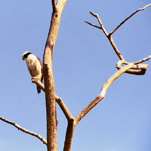 /Albums/19/Pr00001063873