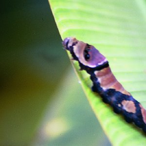 /Albums/19/Pr00001063876