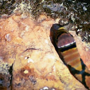 /Albums/19/Pr00001063880