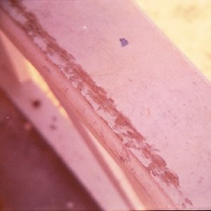 /Albums/19/Pr00001063896