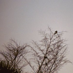 /Albums/19/Pr039210522101