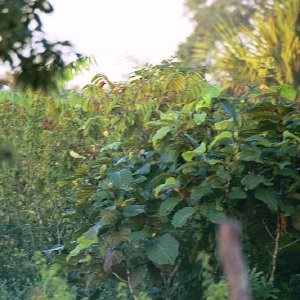 /Albums/19/Pr039210522103