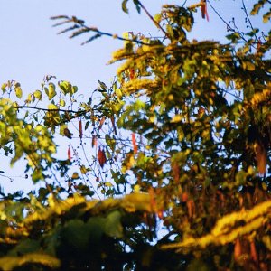 /Albums/19/Pr039210522106