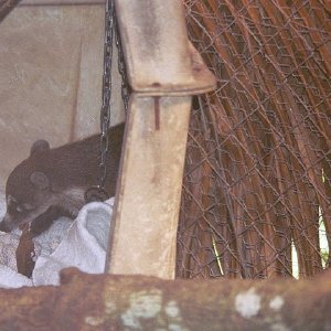 /Albums/19/Pr039210522107