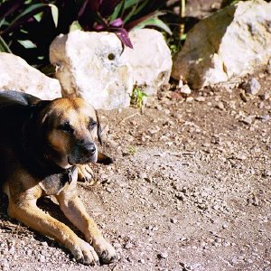 /Albums/19/Pr039210522108