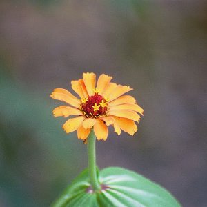 /Albums/19/Pr039210522109