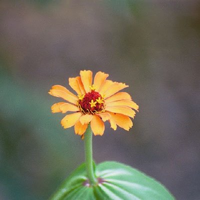 Jason's Earlier Trips - Album 5