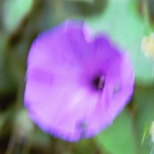 /Albums/19/Pr039210522112