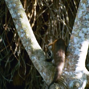 /Albums/19/Pr039210522115