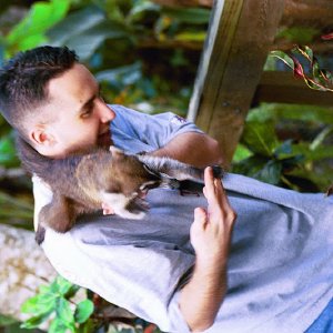 /Albums/19/Pr039210522123