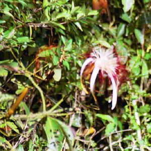 /Albums/19/Pr039210522131