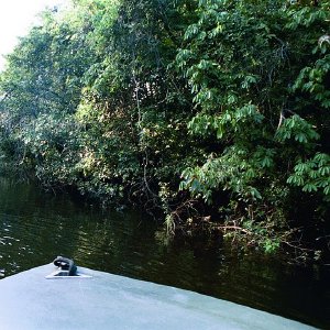 /Albums/19/Pr039210522133