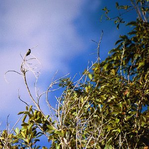 /Albums/19/Pr039210522135