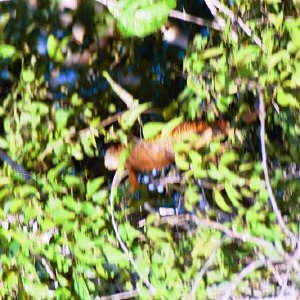 /Albums/19/Pr039210522139