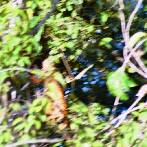 /Albums/19/Pr039210522140