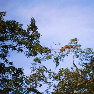 /Albums/19/Pr039210522141