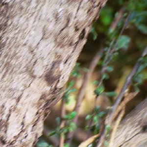 /Albums/19/Pr039210522142