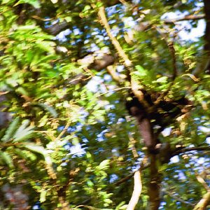 /Albums/19/Pr03921052275