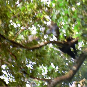 /Albums/19/Pr03921052276