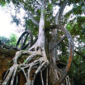 /Albums/19/Pr03921052281