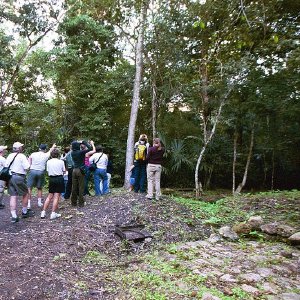 /Albums/19/Pr03921052282