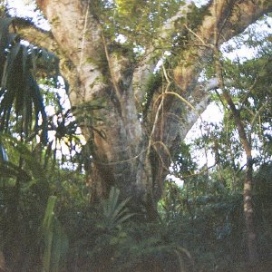 /Albums/19/Pr03921052284