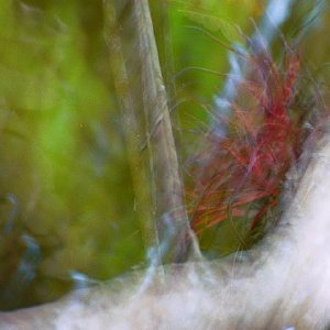 /Albums/19/Pr03921052287