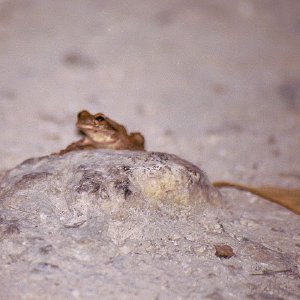 /Albums/19/Pr03921052289