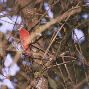 /Albums/19/Pr03921052290