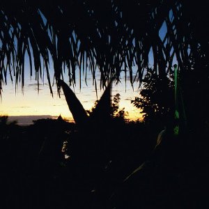 /Albums/19/Pr03921052291