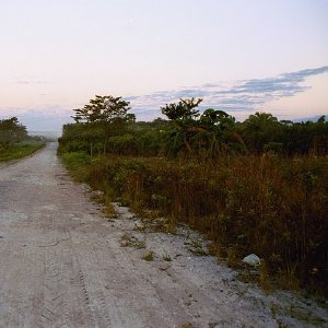 /Albums/19/Pr03921052294