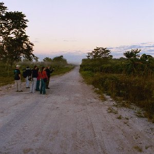 /Albums/19/Pr03921052295