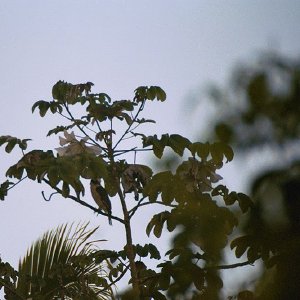 /Albums/19/Pr03921052297